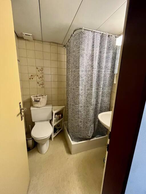 Apartment Near Central Station 苏黎世 外观 照片
