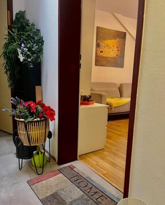 Apartment Near Central Station 苏黎世 外观 照片