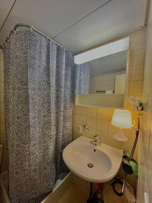 Apartment Near Central Station 苏黎世 外观 照片